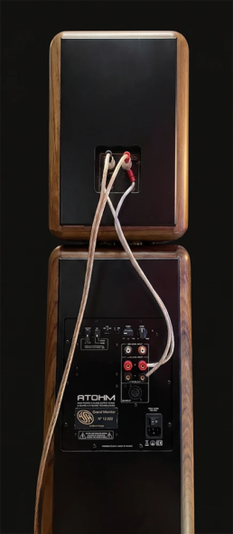 ue arri&egrave;re d&eacute;taill&eacute;e de l'enceinte haute fid&eacute;lit&eacute; en bois massif Grand Monitor Pro par Atelier ASA, montrant l'amplificateur int&eacute;gr&eacute;, le radiateur et les borniers dor&eacute;s.